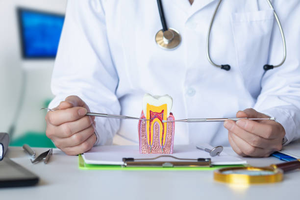 Best Emergency Treatment for Dental Infections or Abscesses in Youngstown, NY